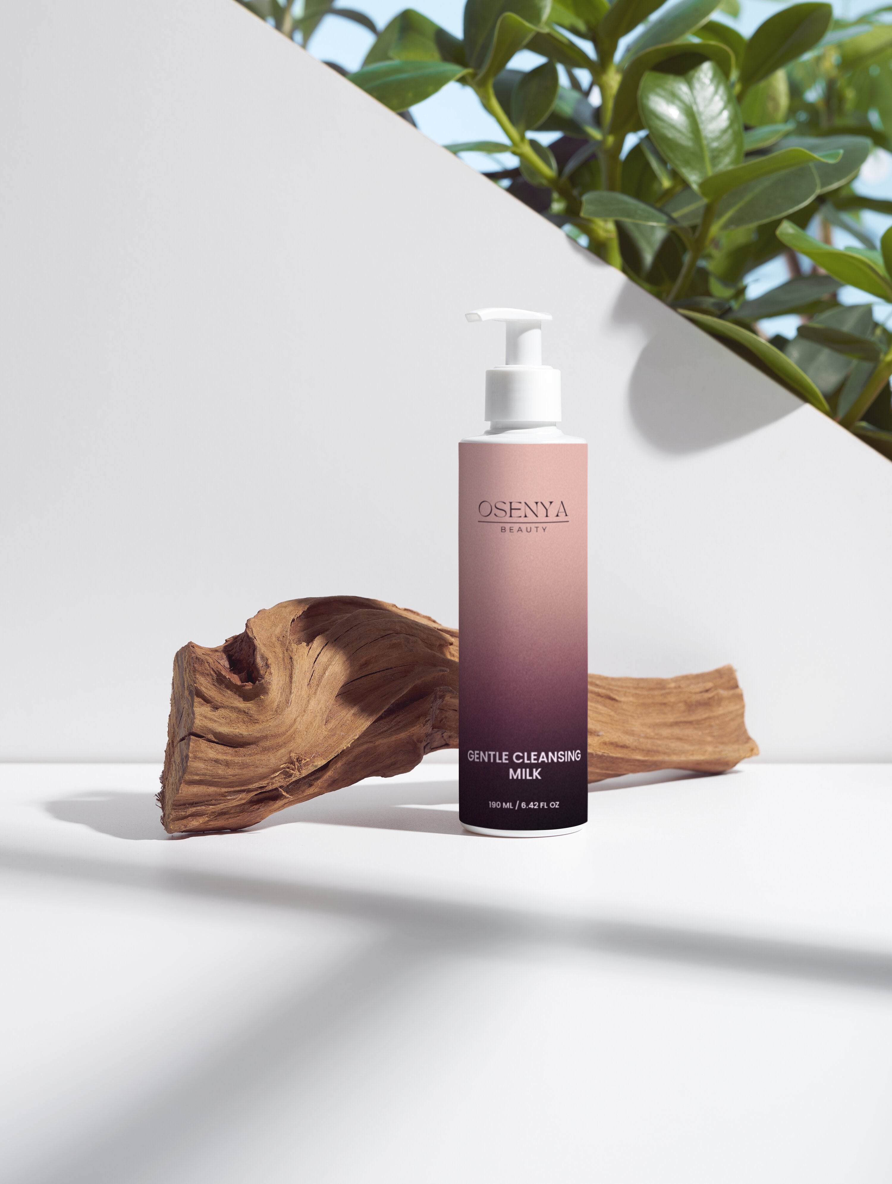 Gentle Cleansing Milk